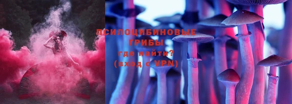 тгк Бугульма