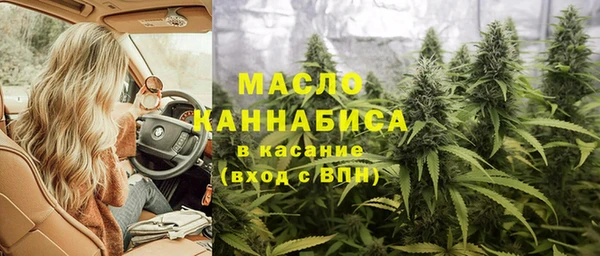таблы Бородино