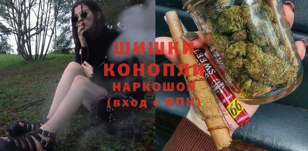таблы Бородино
