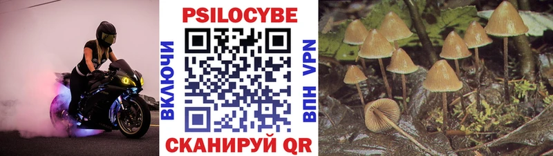 закладка  Гуково  Галлюциногенные грибы MAGIC MUSHROOMS 